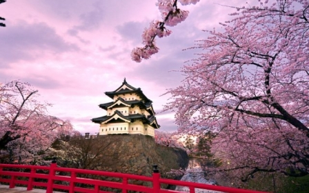 SAKURA ZAMANI KORE & JAPONYA