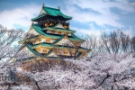 SAKURA ZAMANI KORE & JAPONYA