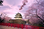 SAKURA ZAMANI KORE & JAPONYA