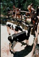 NATURLAND COUNTRY PARK RESORT