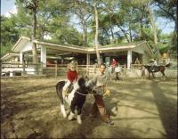 NATURLAND COUNTRY PARK RESORT