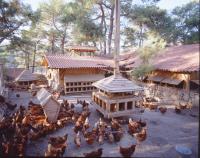 NATURLAND COUNTRY PARK RESORT