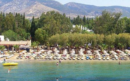 OKALIPTUS HOTEL