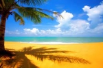 BURGAS VARNA SUNNY BEACH  